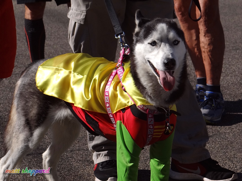 United Way Super Hero 5K walk/run - photos by Matt Sheppard for CSiNewsNOW.com